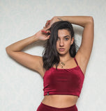 Red Velvet Crop Top with Round Neckline