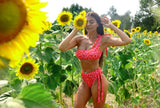 Fuchsia Animal Bikini Set