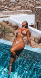 Valia Gold Nude Bikini Bottom